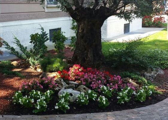 Esempio di realizzazione giardino.